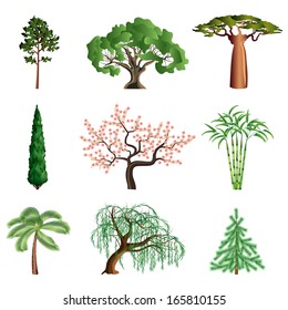 Popular trees isolated on white colorful collection