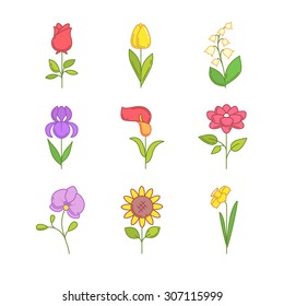 Popular wedding flowers blossoming. Thin line icons set. Modern flat style symbols isolated on white for web use.