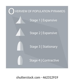 Population and Demography, Illustration of 4 Types of Population Pyramids Chart or Age Structure Graph.