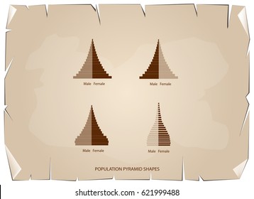 Population and Demography, Illustration of 4 Types of Population Pyramids Chart or Age Structure Graph on Old Antique Vintage Grunge Paper Texture Background.
