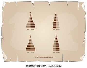 Population and Demography, Illustration of 4 Types of Population Pyramids Chart or Age Structure Graph on Old Antique Vintage Grunge Paper Texture Background.