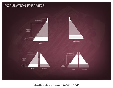 Population and Demography, Illustration of Detail of Population Pyramids Chart or Age Structure Graph on Chalkboard Background.