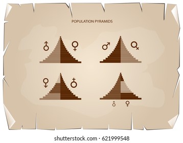 Population and Demography, Illustration of Detail of Population Pyramids Chart or Age Structure Graph on Old Antique Vintage Grunge Paper Texture Background.