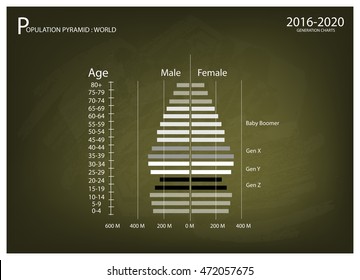 Population And Demography, Illustration Of Population Pyramids Chart Or Age Structure Graph With Baby Boomers Generation, Gen X, Gen Y And Gen Z In 2016 To 2020.