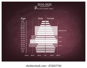 Population and Demography, Illustration of Population Pyramids Chart or Age Structure Graph with Baby Boomers Generation, Gen X, Gen Y and Gen Z in 2016 to 2020.