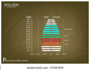 Population And Demography, Illustration Of Population Pyramids Chart Or Age Structure Graph With Baby Boomers Generation, Gen X, Gen Y And Gen Z In 2016 To 2020.