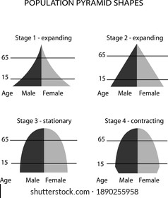 Population And Demography, Illustration Set Of 4 Types Of Population Pyramids Chart Or Age Structure Graph Isolated On White Background.
