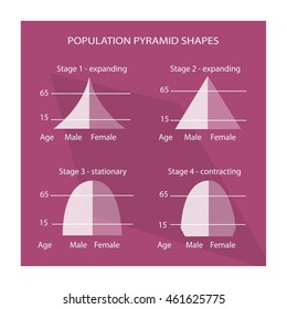 Population Pyramid Hd Stock Images Shutterstock