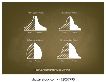 Population and Demography, Illustration Set of 4 Types of Population Pyramids Chart or Age Structure Graph on Chalkboard Background.