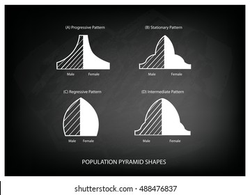 Population And Demography, Illustration Set Of 4 Types Of Population Pyramids Chart Or Age Structure Graph On Black Chalkboard Background.