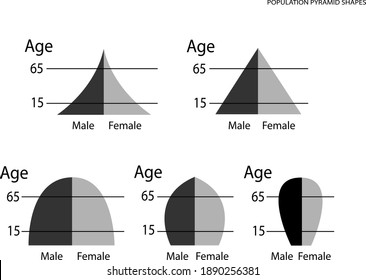 Population And Demography, Illustration Set Of 5 Types Of Population Pyramids Chart Or Age Structure Graph Isolated On White Background.
