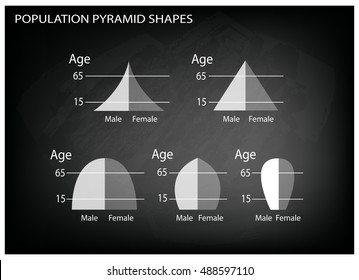 Population and Demography, Illustration Set of 5 Types of Population Pyramids Chart or Age Structure Graph on Black Chalkboard Background.