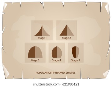 Population and Demography, Illustration Set of 5 Types of Population Pyramids Chart or Age Structure Graph on Old Antique Vintage Grunge Paper Texture Background.