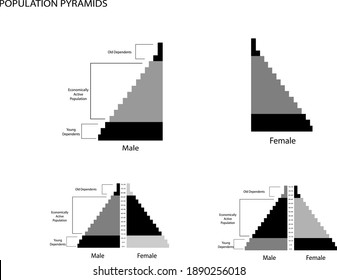Population And Demography, Population Pyramids Chart Or Age Structure Graph With Baby Boomers Generation, Gen X, Gen Y And Gen Z.
