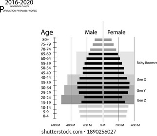 Population And Demography, Population Pyramids Chart Or Age Structure Graph With Baby Boomers Generation, Gen X, Gen Y And Gen Z In 2016 To 2020.
