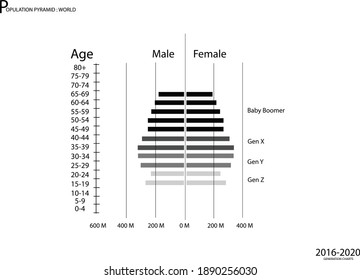 Population And Demography, Population Pyramids Chart Or Age Structure Graph With Baby Boomers Generation, Gen X, Gen Y And Gen Z In 2016 To 2020.

