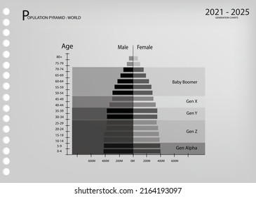 Population And Demography, Population Pyramids Chart Or Age Structure Graph With Baby Boomers Generation, Gen X, Gen Y, Gen Z And Gen Alpha In 2021 To 2025.
