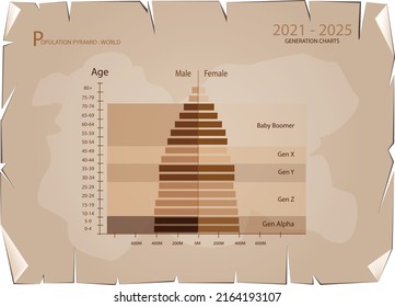 Population and Demography, Population Pyramids Chart or Age Structure Graph with Baby Boomers Generation, Gen X, Gen Y, Gen Z and Gen Alpha in 2021 to 2025 on Old Antique Vintage Grunge Paper Texture 