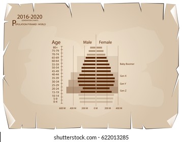 Population and Demography, Population Pyramids Chart or Age Structure Graph with Baby Boomers Generation, Gen X, Gen Y Gen Z in 2016 to 2020 on Old Antique Vintage Grunge Paper Texture Background.
