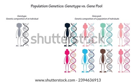 population genetics genotype versus gene pool vector infographic