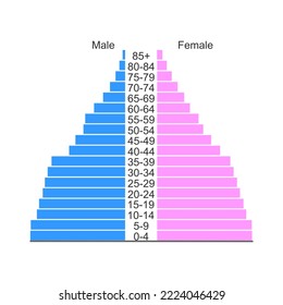 Population pyramid or age structure diagram template isolated on white background. Example of population distribution by male and female groups with different age. Vector flat illustration