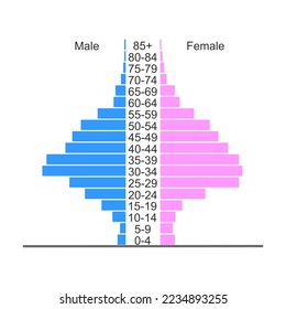 Population pyramid. Age structure diagram template. Example of population distribution by male and female groups with different age. Vector flat illustration