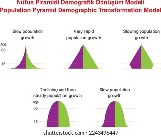 Population Pyramid Demographic Transformation Model