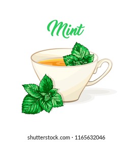 Porcelain or Ceramic Tea Cup. Mint Green Tea and Tea Leaves. Herbal Therapy. Peppermint or Spearmint Loose Herbs. Vector Illustration. Banner Design, Restaurant Menu, English Breakfast.