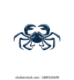 Porcelain crab isolated blue decapods crustacean with pincers. Vector seafood, hard shell marine animal