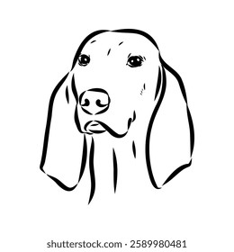 Porcelaine dog isolated on white background. Hand drawn dog breed vector sketch.