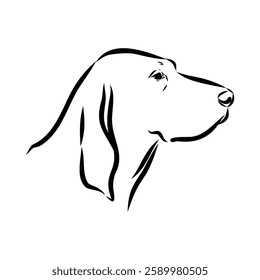 Porcelaine dog isolated on white background. Hand drawn dog breed vector sketch.