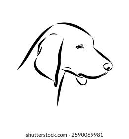 Porcelaine dog isolated on white background. Hand drawn dog breed vector sketch.