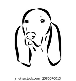 Porcelaine dog isolated on white background. Hand drawn dog breed vector sketch.