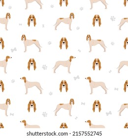 Porcelaine dog seamless pattern. Different poses, coat colors set.  Vector illustration