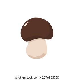 Porcini. Boletus Edulis. Forest mushroom. Vector illustration in flat style.