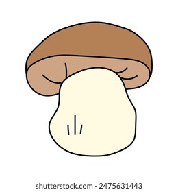 Porcini in doodle style. Vector isolated on white background