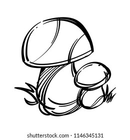 Porcini, edible forest mushrooms. Outline vector illustration isolated on white background.