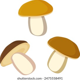 porcini edible mushroom. edible mushroom. Eps 10.cartoon style, flat. Autumn decor.