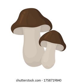 Porcini flat illustration. Mushroom icon. Vector.