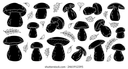 Conjunto de silueta de hongos Boletus del bosque de Porcini. Hongo boletus edulis dibujado a mano. Iconos de silueta de hongos comestibles frescos de Porcini. Cep. King bolete negro sobre Ilustración vectorial blanca de bollo Penny