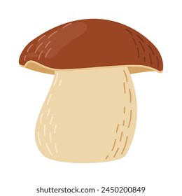 Porcini forest mushroom. Hand drawn boletus edulis fungus. Porcini fresh edible mushrooms cartoon style decor element. Cep. King bolete on white background. Penny bun Vector illustration