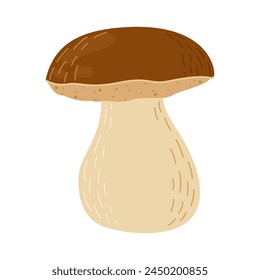 Porcini forest mushroom. Hand drawn boletus edulis fungus. Porcini fresh edible mushrooms cartoon style decor element. Cep. King bolete on white background. Penny bun Vector illustration