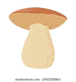 Hongo del bosque Porcini. Hongo boletus edulis dibujado a mano. Porcini hongos comestibles frescos elemento de decoración de estilo de dibujos animados. Cep. Rey bolete sobre fondo blanco. Ilustración vectorial de panecillo