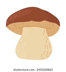 Porcini forest mushroom. Hand drawn boletus edulis fungus. Porcini fresh edible mushrooms cartoon style decor element. Cep. King bolete on white background. Penny bun Vector illustration