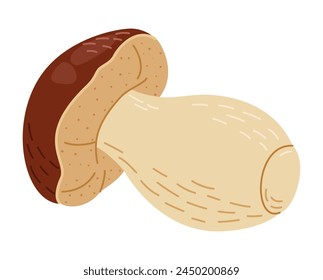 Porcini forest mushroom. Hand drawn boletus edulis fungus. Porcini fresh edible mushrooms cartoon style decor element. Cep. King bolete on white background. Penny bun Vector illustration