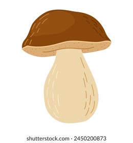 Porcini forest mushroom. Hand drawn boletus edulis fungus. Porcini fresh edible mushrooms cartoon style decor element. Cep. King bolete on white background. Penny bun Vector illustration