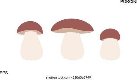 Porcini logo. Isolated porcini on white background