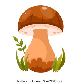 Porcini mushroom, boletus. Edible forest mushroom. Forest grass and leaves. Cartoon vector illustration on a white background.