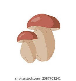 Porcini mushroom, boletus on a white background. Edible forest mushroom. Vector icon