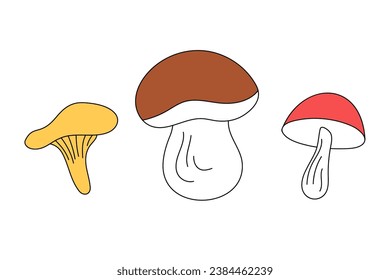 Porcini mushroom, chanterelle, edible and inedible mushrooms for various autumn and culinary designs. Set of cute mushrooms in vector doodle style, isolated.